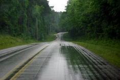 Stopping Distances in Wet Driving Conditions